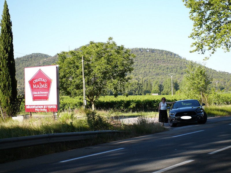 Mustang Provence-1.jpg
