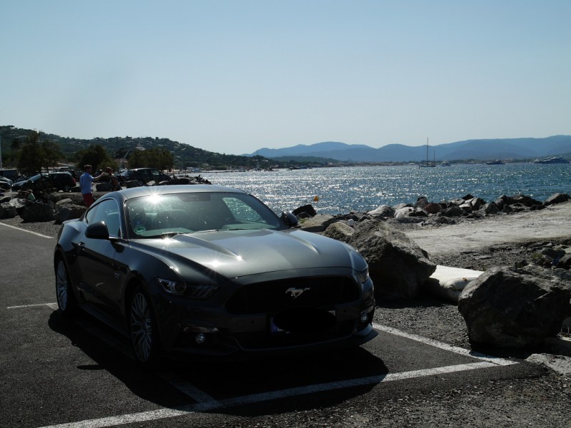Mustang Provence-3.jpg