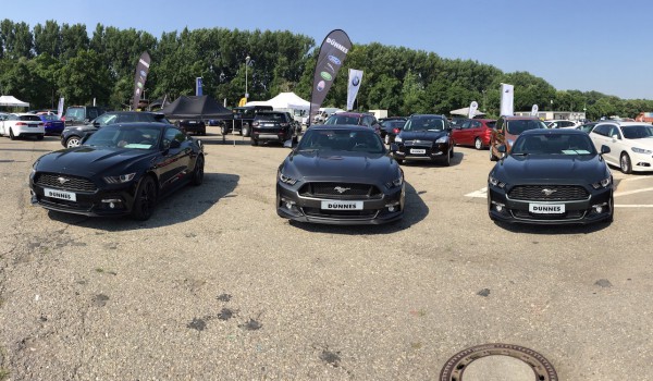 Mustang1.jpg