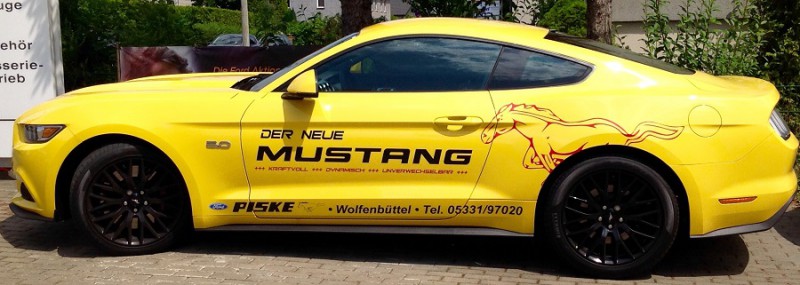 Mustang 1.jpg